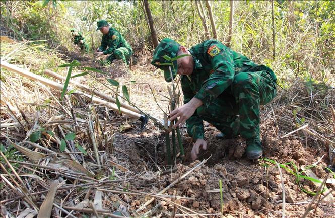Triển khai Chỉ thị 03/CT-TTg: Góp sức trồng 1 tỷ cây xanh, vì một Việt Nam xanh